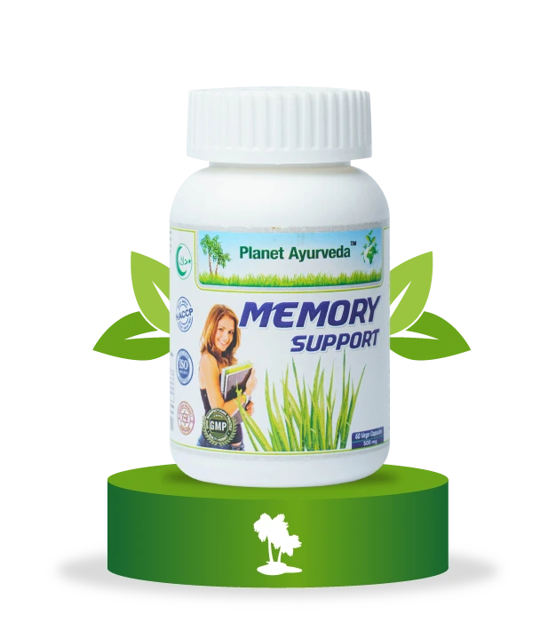 Memory Support